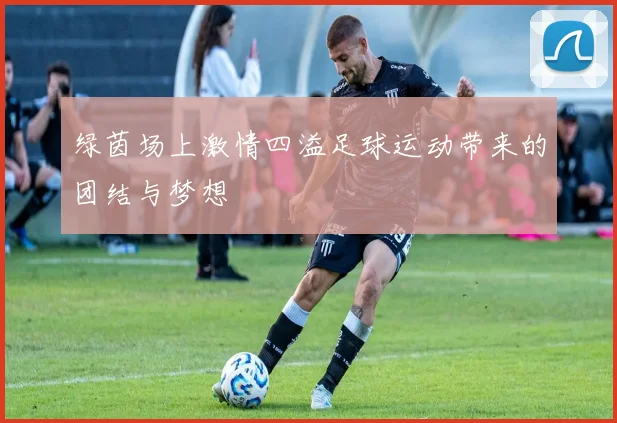 绿茵场上激情四溢足球运动带来的团结与梦想