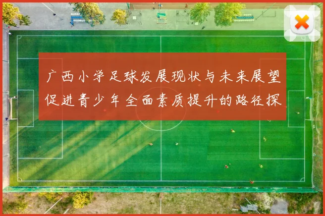 广西小学足球发展现状与未来展望促进青少年全面素质提升的路径探讨