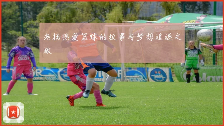 老杨热爱篮球的故事与梦想追逐之旅