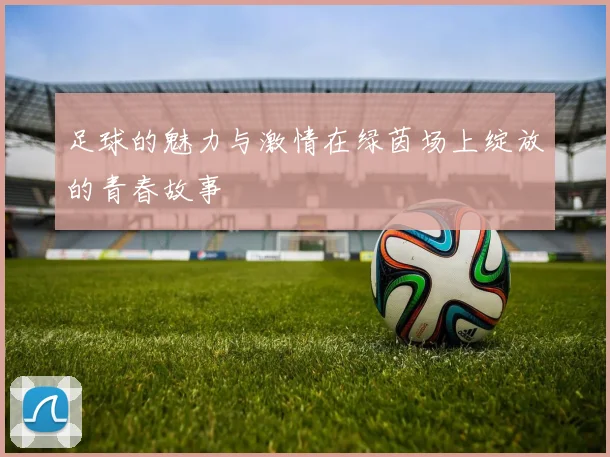 足球的魅力与激情在绿茵场上绽放的青春故事