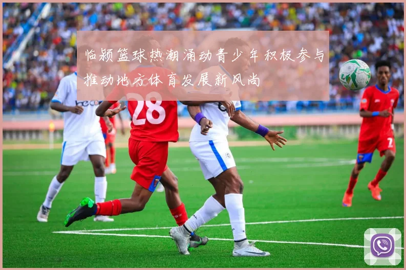 临颍篮球热潮涌动青少年积极参与推动地方体育发展新风尚