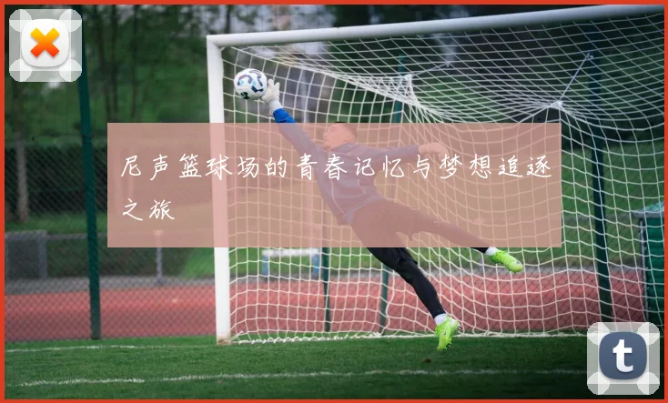 尼声篮球场的青春记忆与梦想追逐之旅