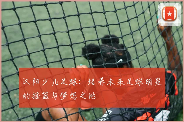 汉阳少儿足球：培养未来足球明星的摇篮与梦想之地