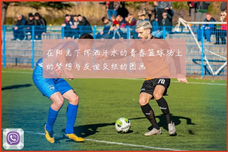 在阳光下挥洒汗水的青春篮球场上的梦想与友谊交织的图画