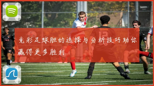 竞彩足球胆的选择与分析技巧助你赢得更多胜利